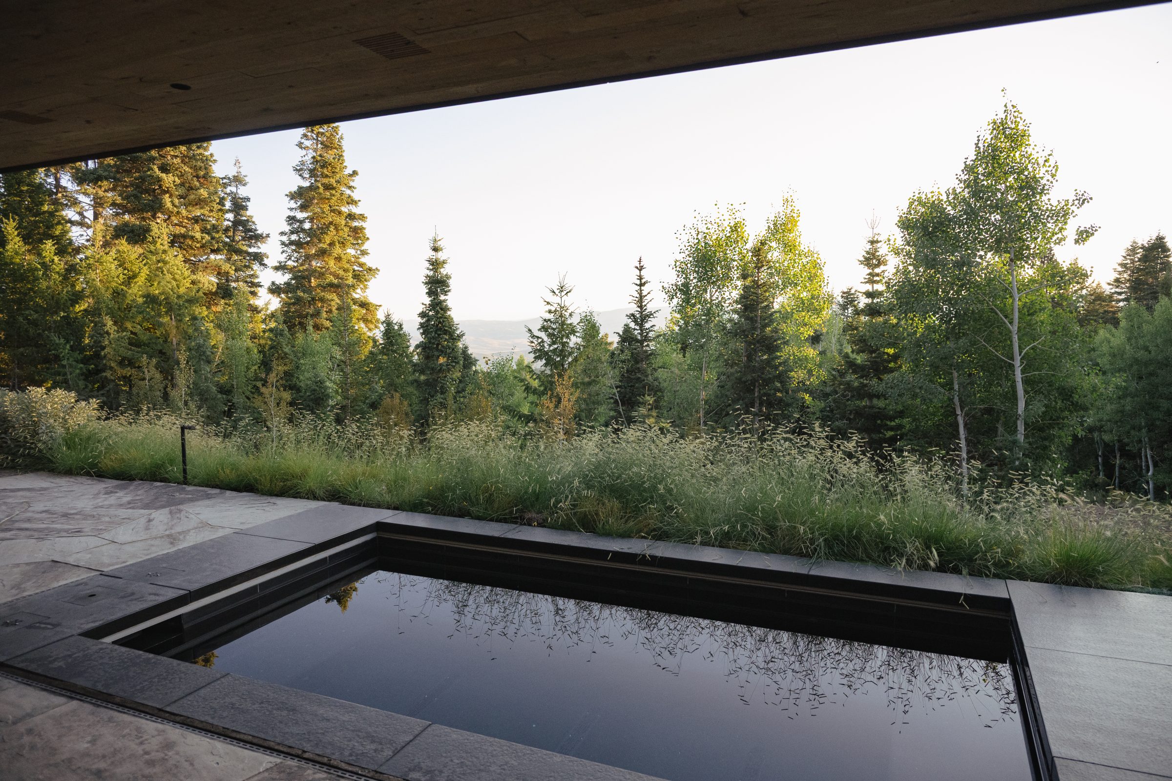 Outdoor view of a forest from a patio