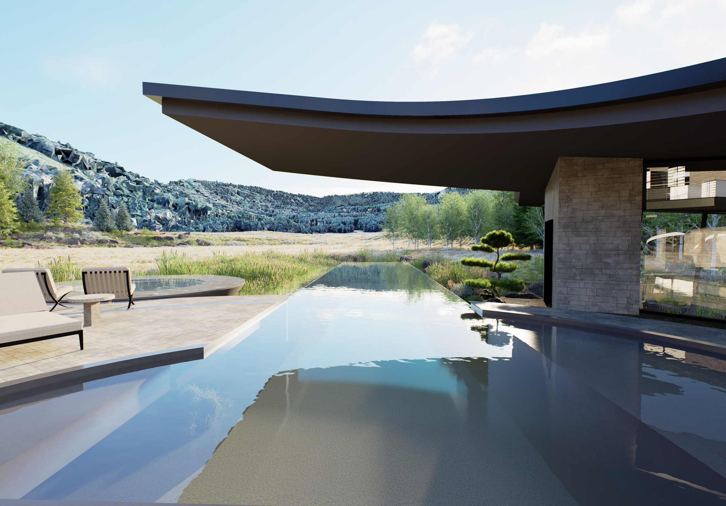 Modern house with infinity pool and mountain view